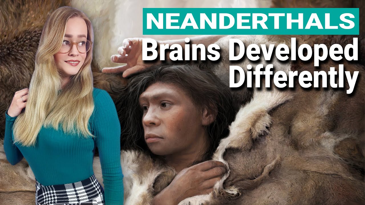 Neanderthal Brains Developed Differently