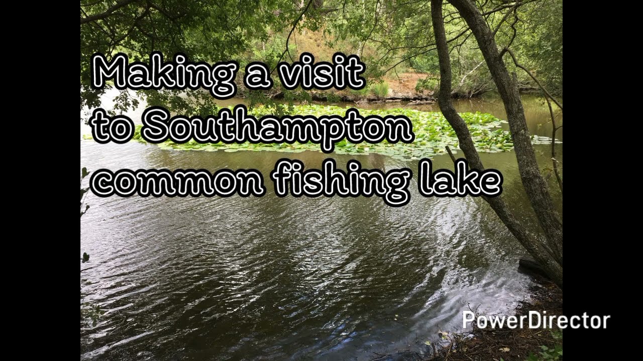 Southampton common fishing lake Main fish are tench, rudd and carp