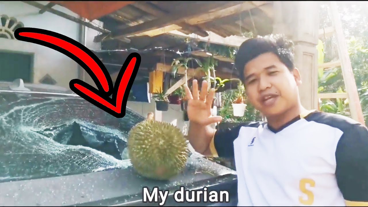 WATCH THE UNPREDICTABLE HAPPEN #5 - Best of r/Unexpected Videos