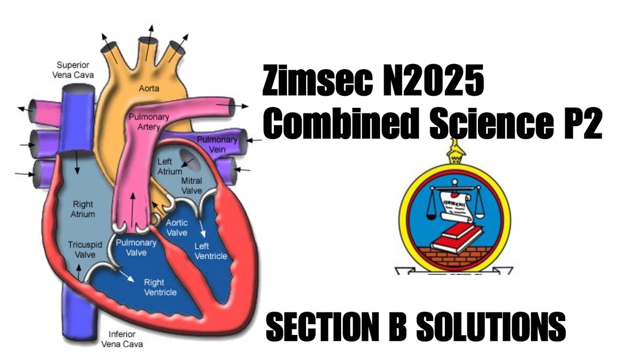 Zimsec, ноябрь 2025 г., объединённый научный доклад 2, раздел B, биологические решения