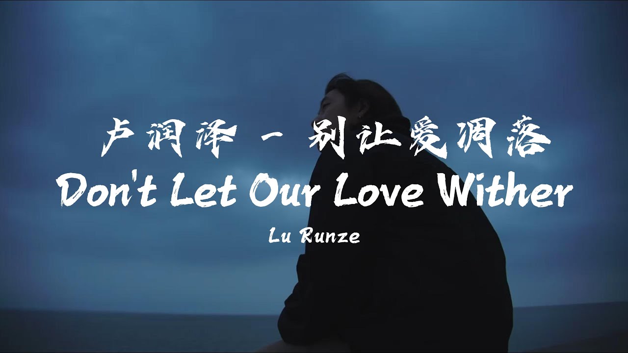 Lu Runze – Don't Let Our Love Wither | 卢润泽 - 别让爱凋落【动态歌词/English Subs/Pinyin】