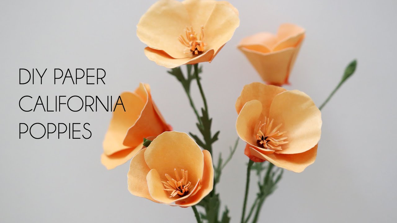 How to make Paper California Poppy (DIY paper flowers, Cricut)