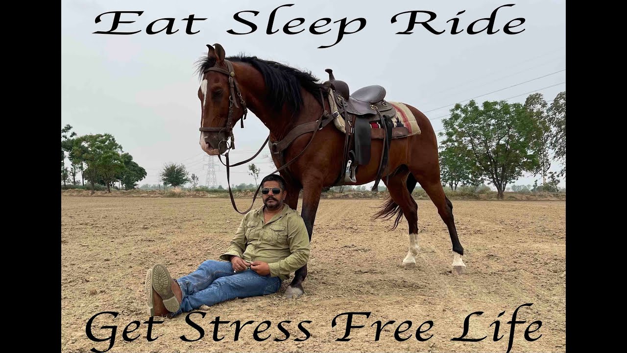 Riding the Raj Kiran Galloping in fields