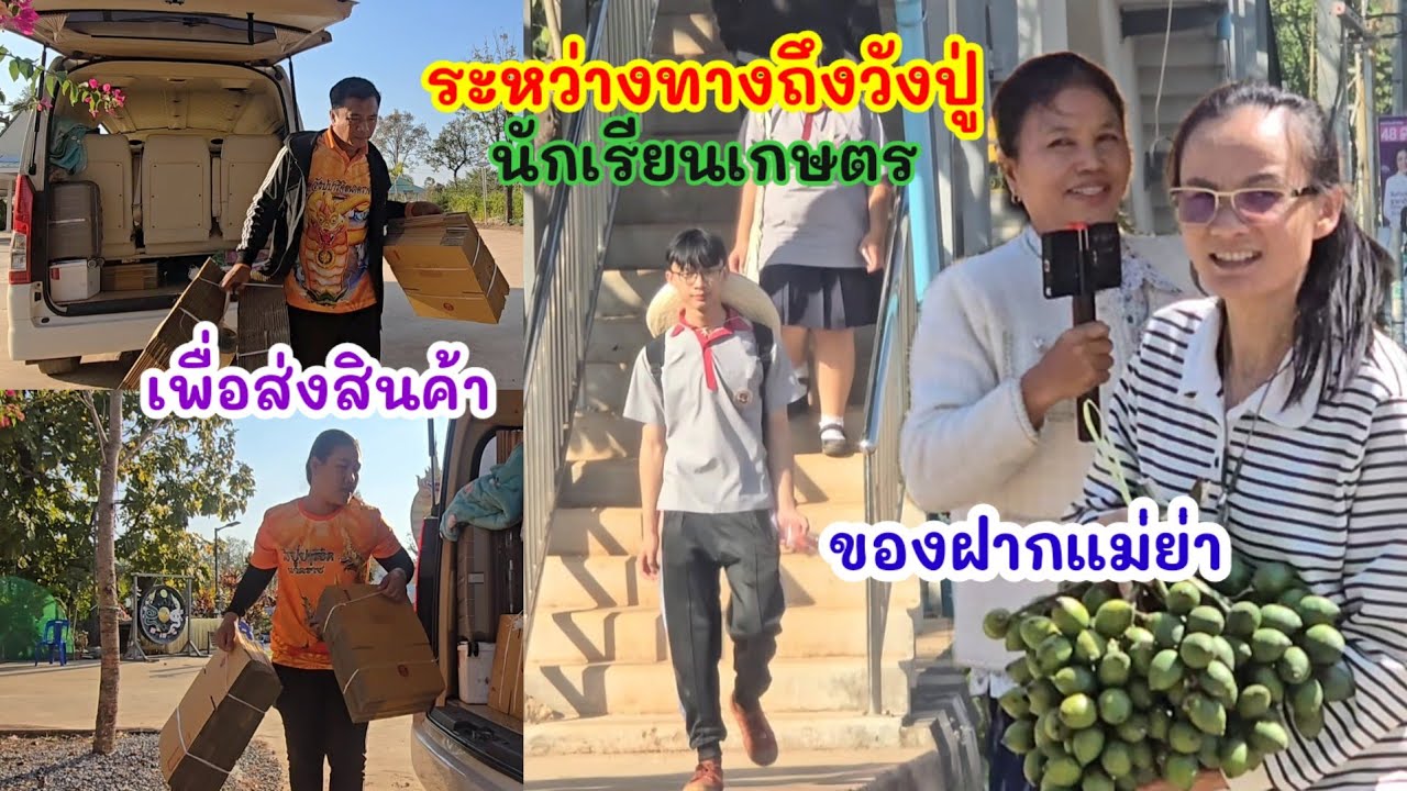 ป้าจะให้แม่ย่ากินได้ทั้งปี แบบนี้ต้องเหมา 3แวะระหว่างทาง4ก.ถึงวังปู่#มนต์โอมชาแนล#ป้าเเต๋นชาเเนล 