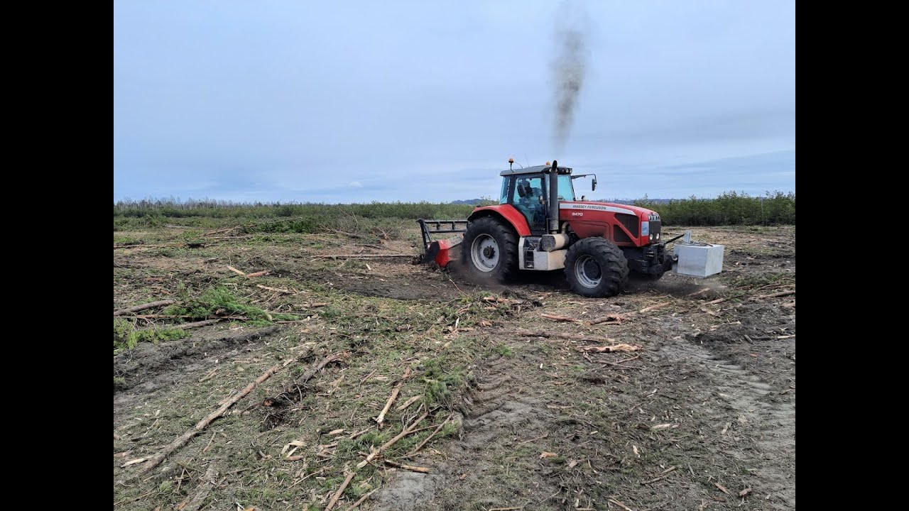 Mulczowanie  zarośli z firma FOREST-AGRO [MASSEY FERGUSON 8470+ REMET]