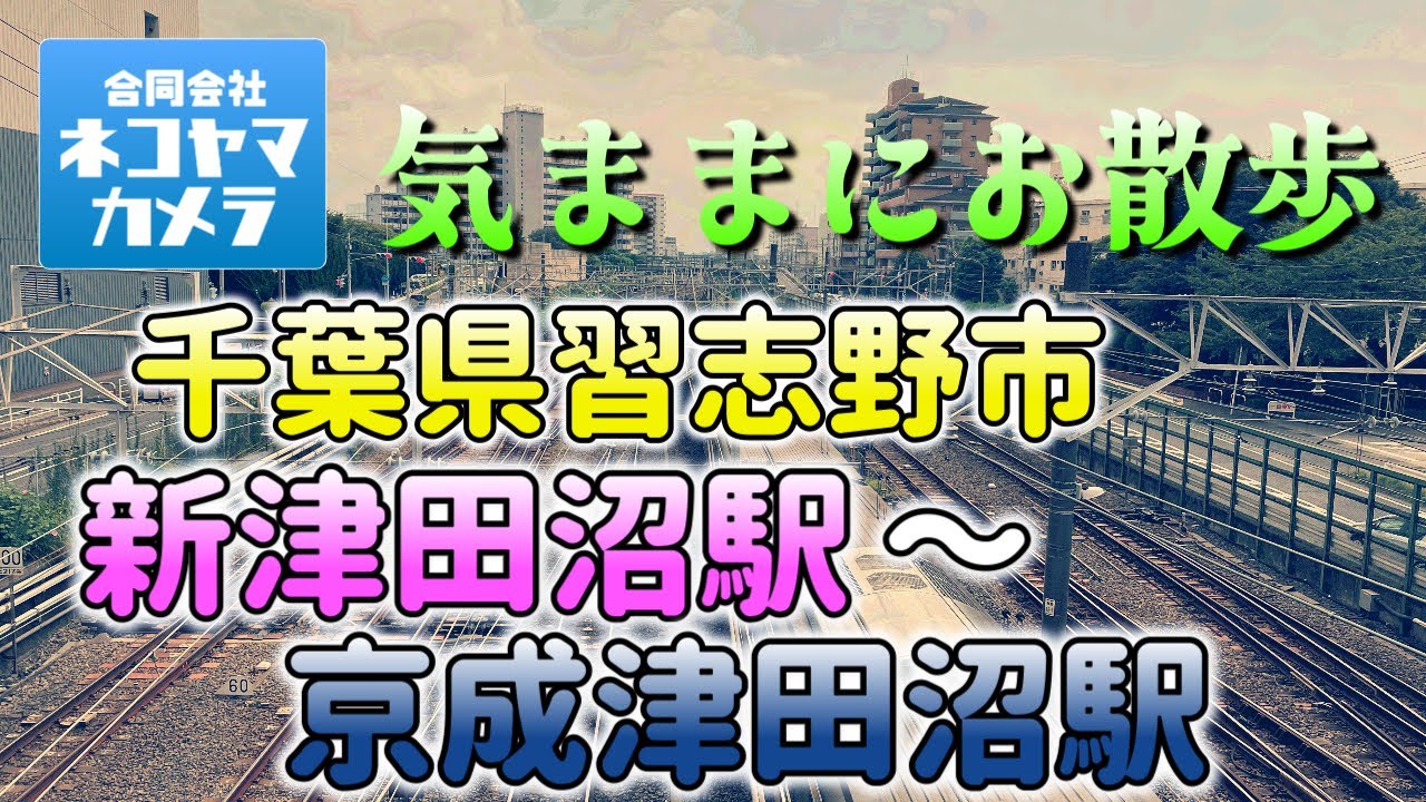 【千葉散歩#2】新津田沼駅から京成津田沼駅まで歩いたよ！千葉県習志野市　（新京成線・京成線） #千葉県 #習志野市 #津田沼