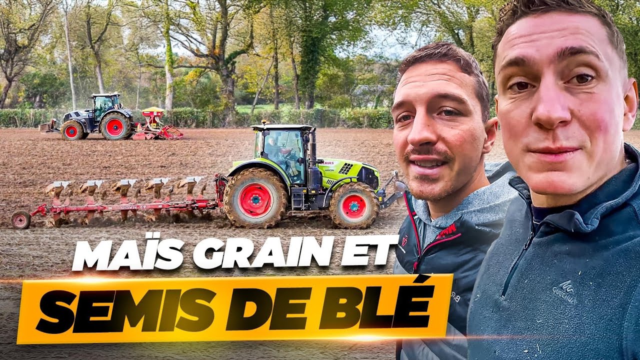 MA&Iuml;S GRAIN ET SEMIS !