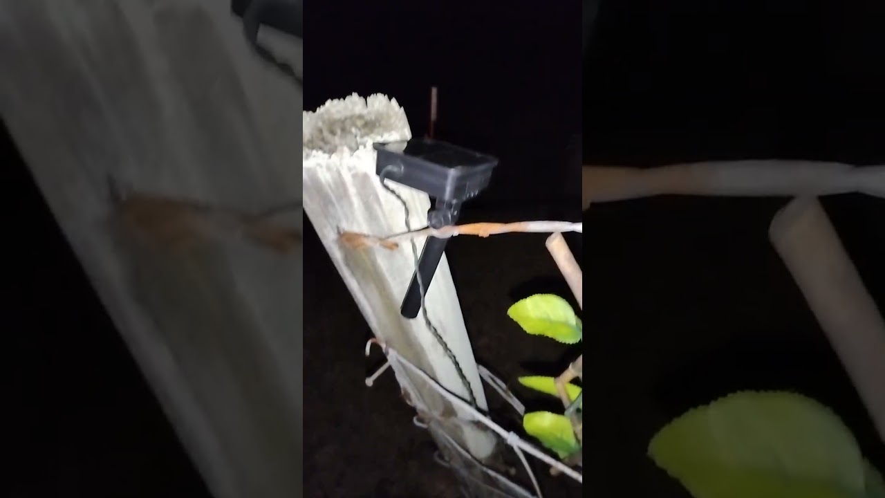 Investigation #3 of Sutton Cemetery