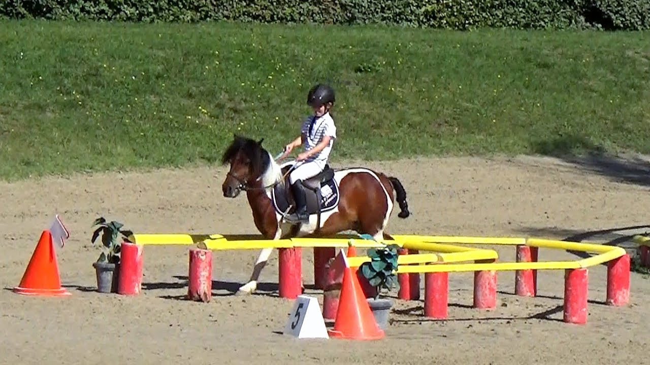 ■ 13/07/2017 - Championnat de France - LaMotte Beuvron - EquiFun - Paloma Maitre