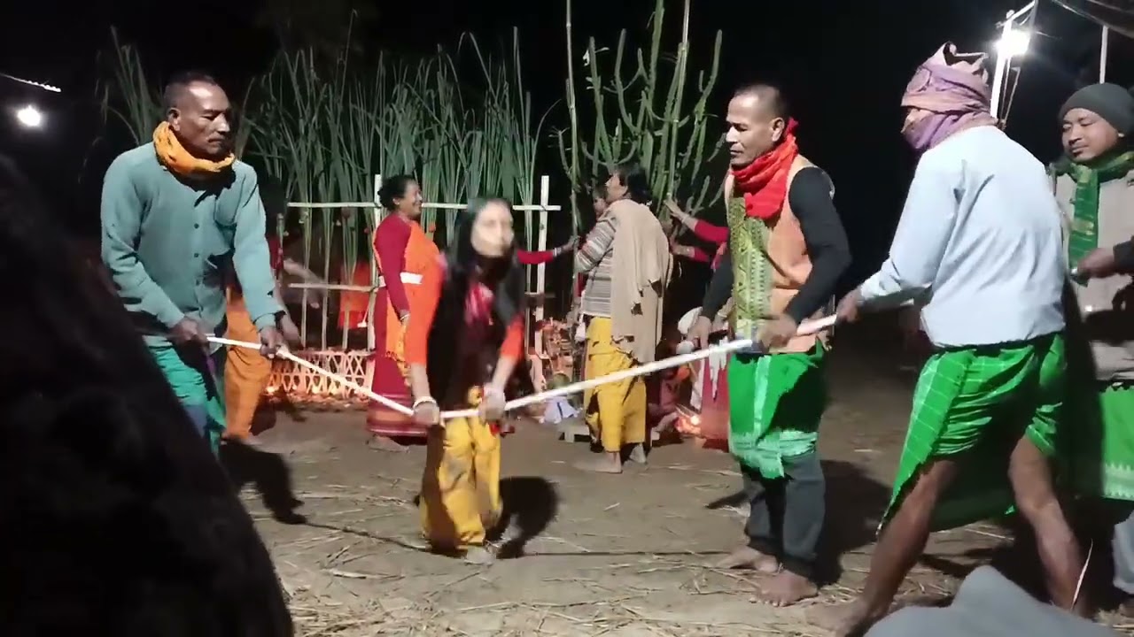 Bodo Traditional Dance ✨