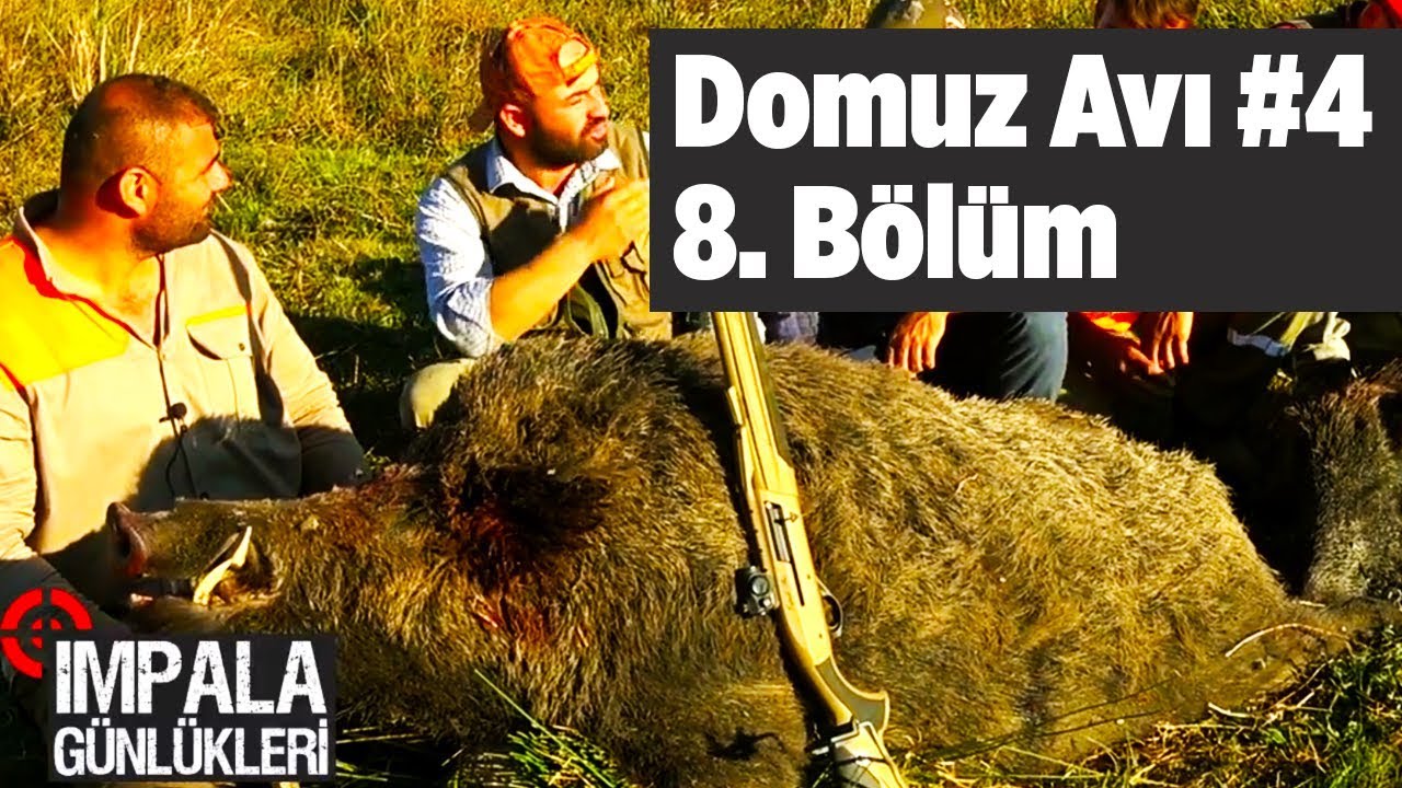 Domuz Avı 4 impala G&uuml;nl&uuml;kleri 8. B&ouml;l&uuml;m Yaban Tv