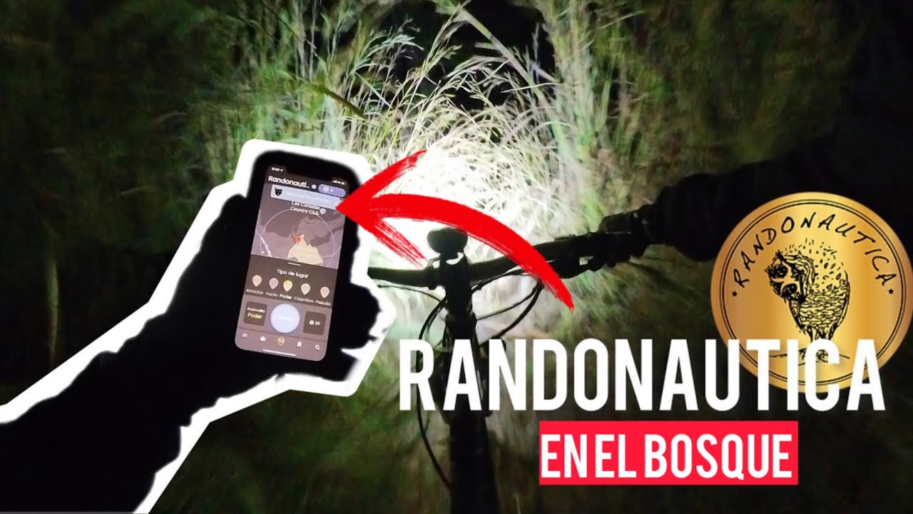 Rodando de Noche en el Bosque con Randonautica 🦉