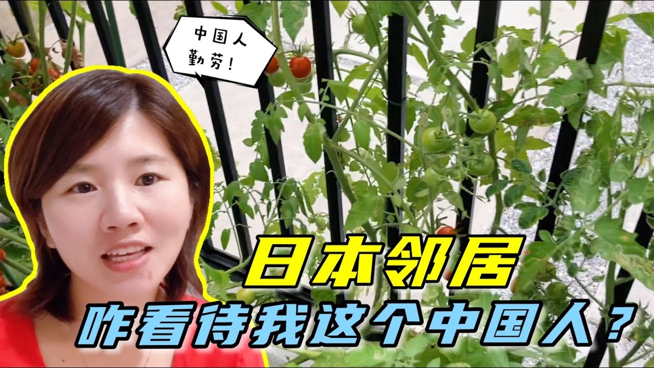日本鄰居看見我打理的菜園，總是讚不絕口：中國人太厲害了！