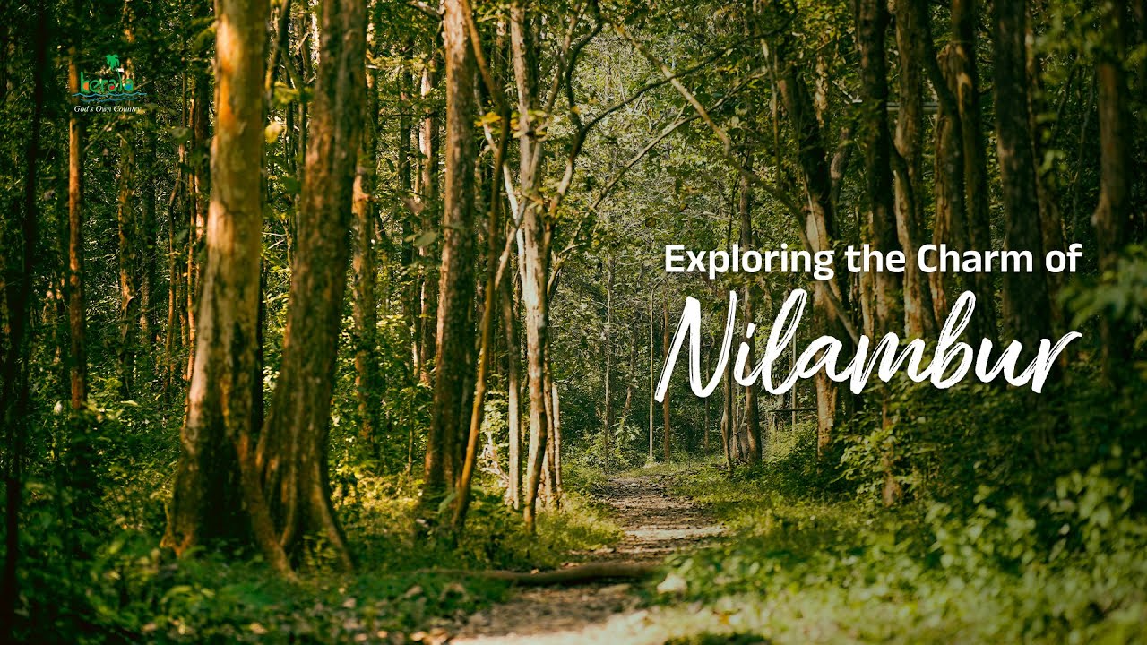 Let the Teaks Whisper the Tales of Nilambur