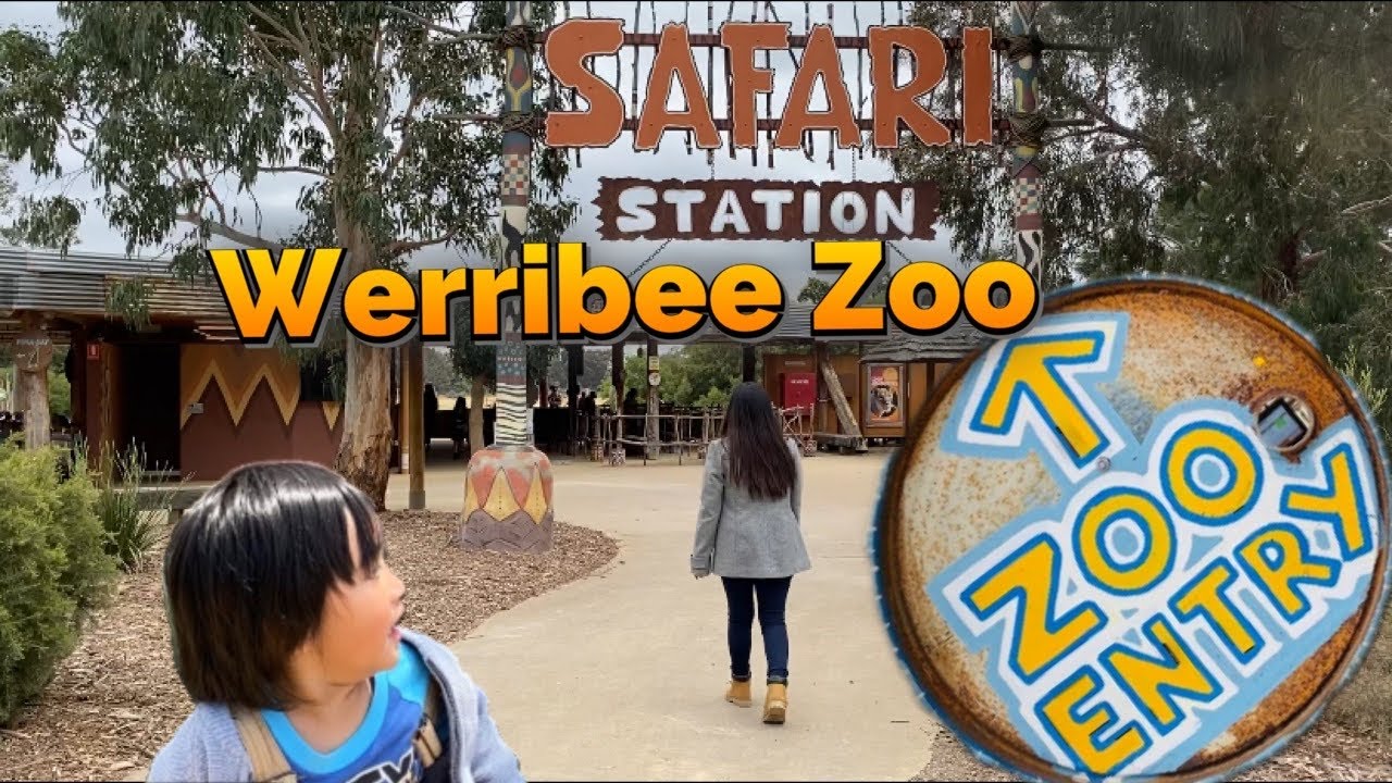 Werribee Open Range Zoo || Werribee Safari Adventure