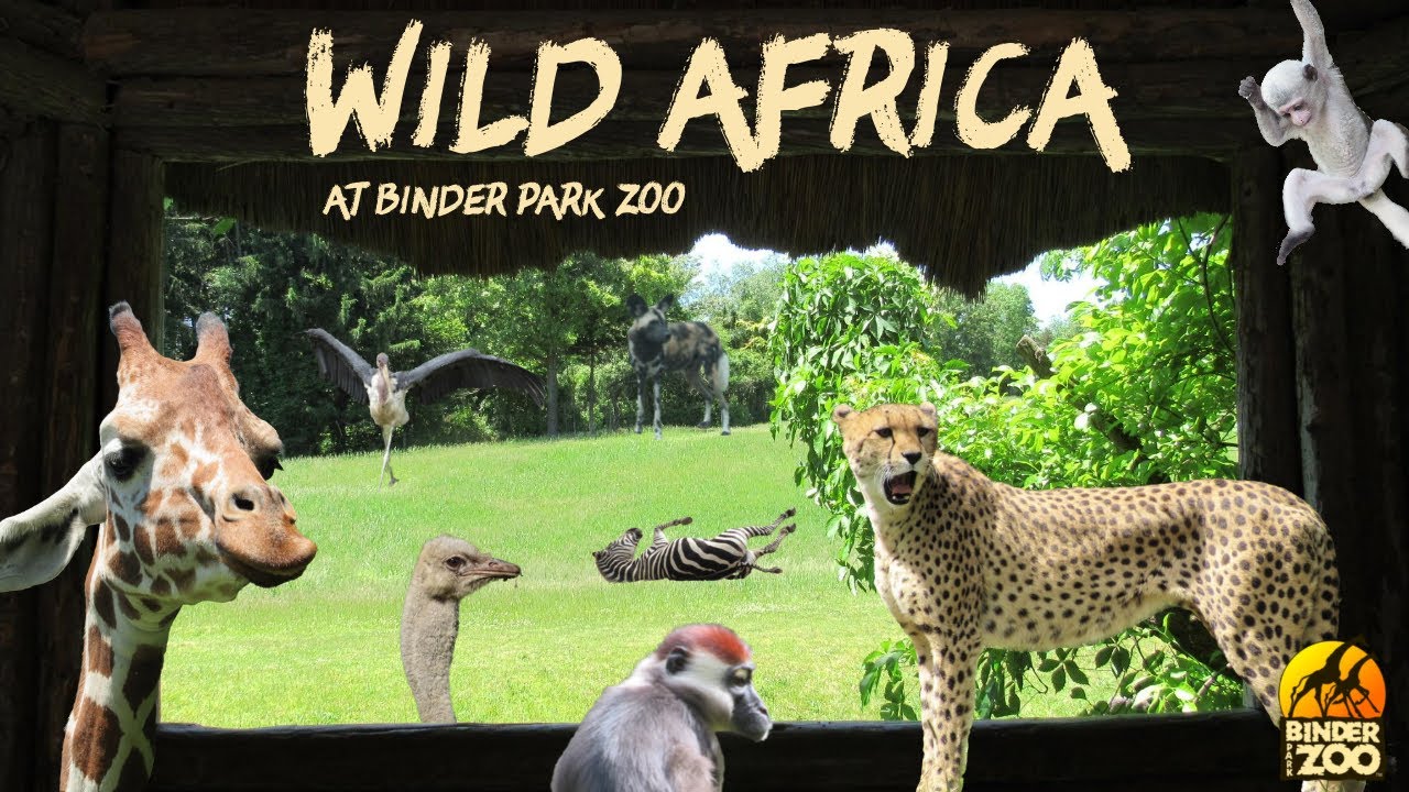 Wild Africa at Binder Park Zoo (1999) | Exhibit Tours Ep. 16