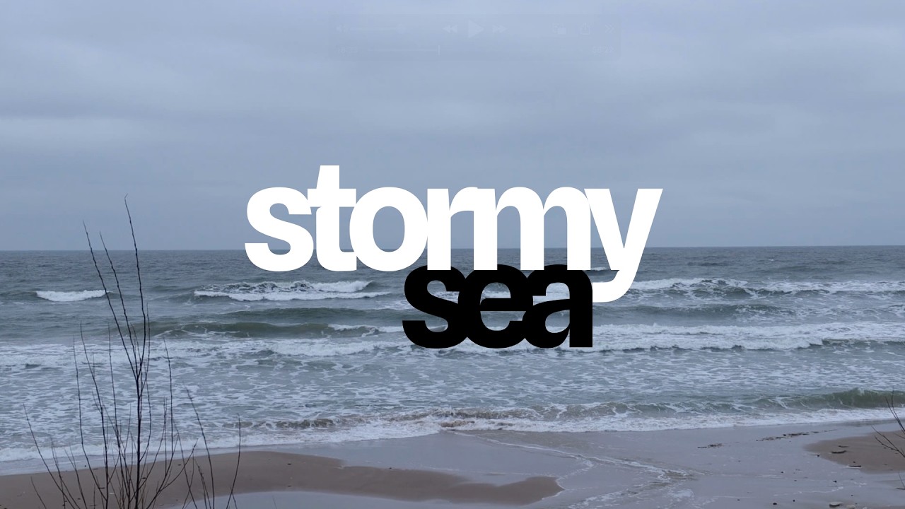 Winter Storm at Baltic Sea | Relaxing Blizzard & Wind Sounds for Sleeping (1 Hour)