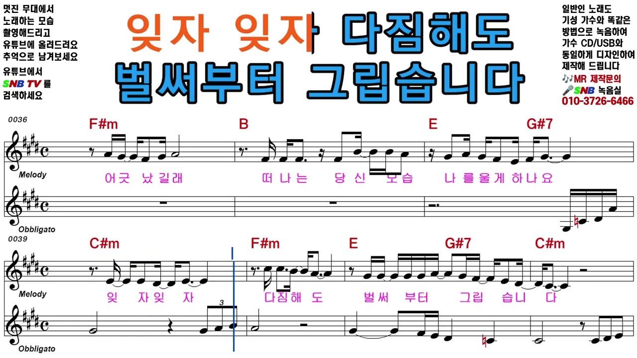 항구의 이별 - 박지현 [Elf-919 / SNB TV] 악보영상