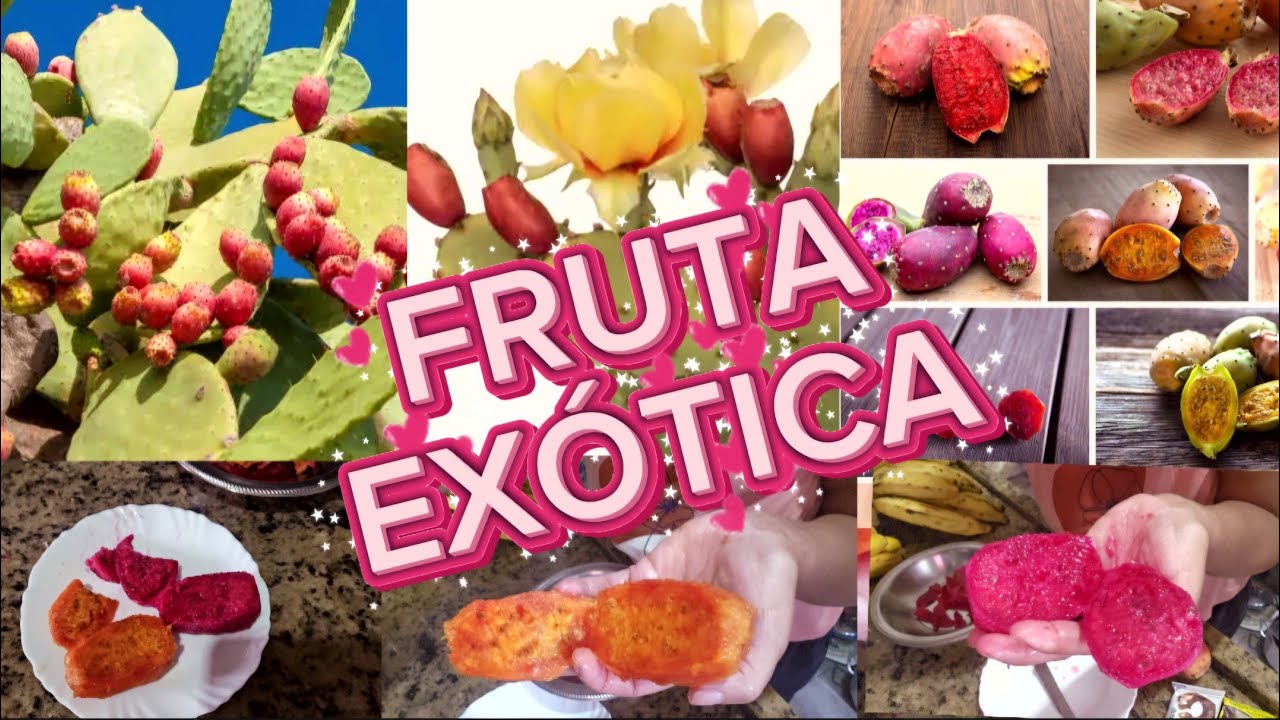 TUNA: A FRUTA DO CACTO QUE EU NUNCA IMAGINEI!