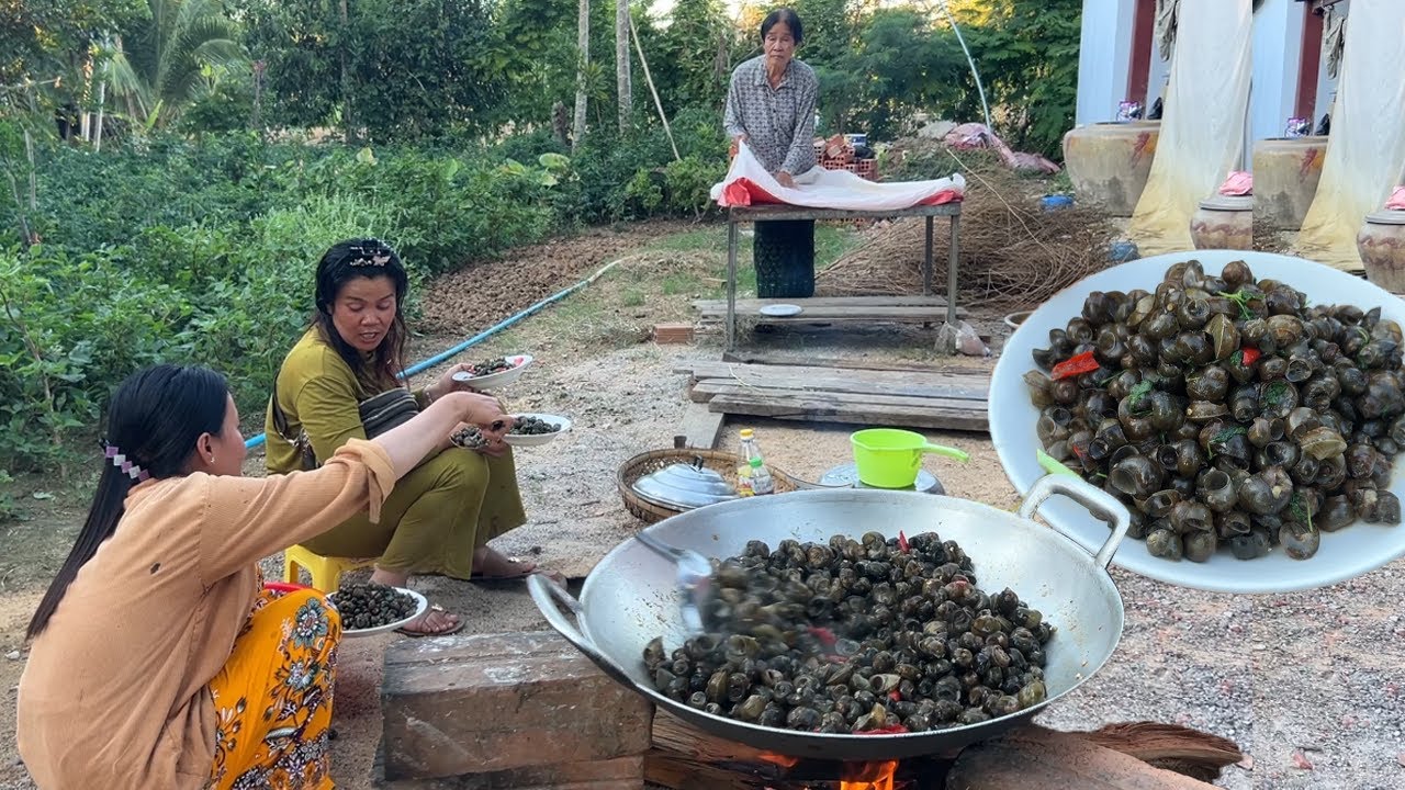 ថ្ងៃនេះ ឆាខ្ចៅ ឆ្ងាញ់អស់ទាស់ ខ្ចៅដូងខ្ចៅខ្វៀនទើបរើសពីវាលស្រែថ្មីៗ