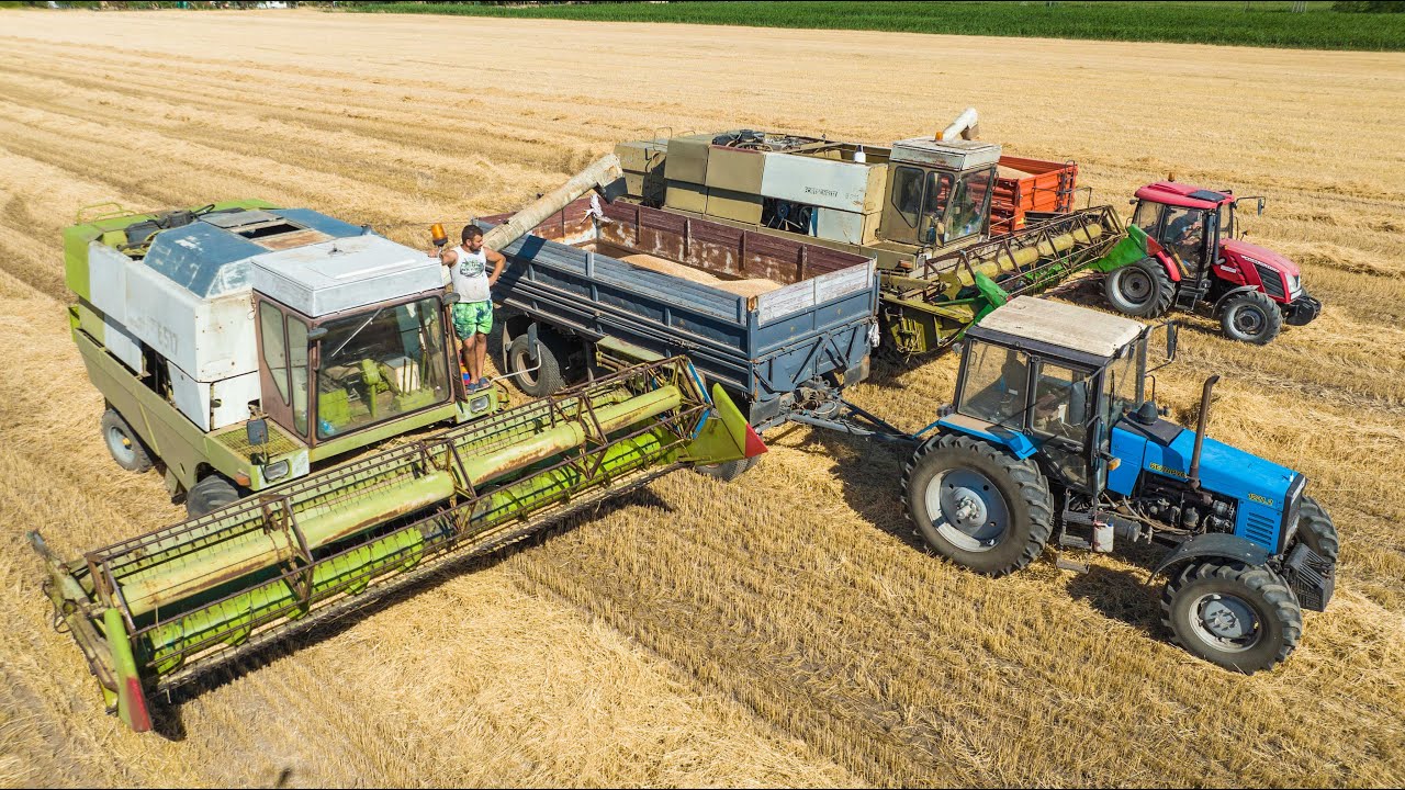 Aratás 2022 🌾 Fortschritt E516 - E517 | Belarus 1221.2 | Zetor | Munkában a Verók család!