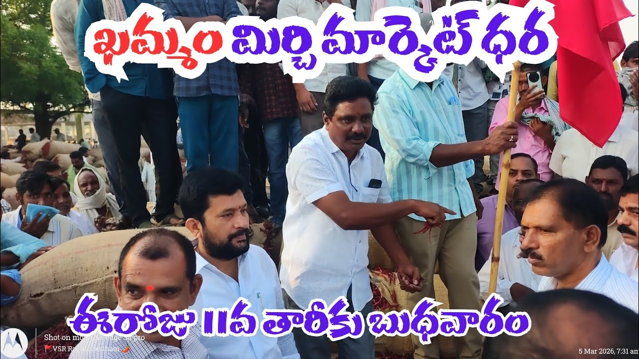 11/03/2026 khammam mirchi market price khammam mirchi market today #dharalu #mirchi#mirchiratetoday