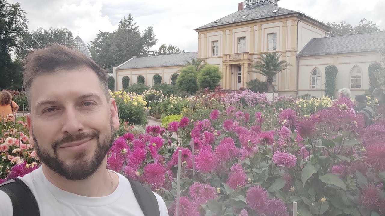 ЖОРЖИНИ називаю сорти найкращих жоржин. справжній бал квітів #Dahlia #flowers