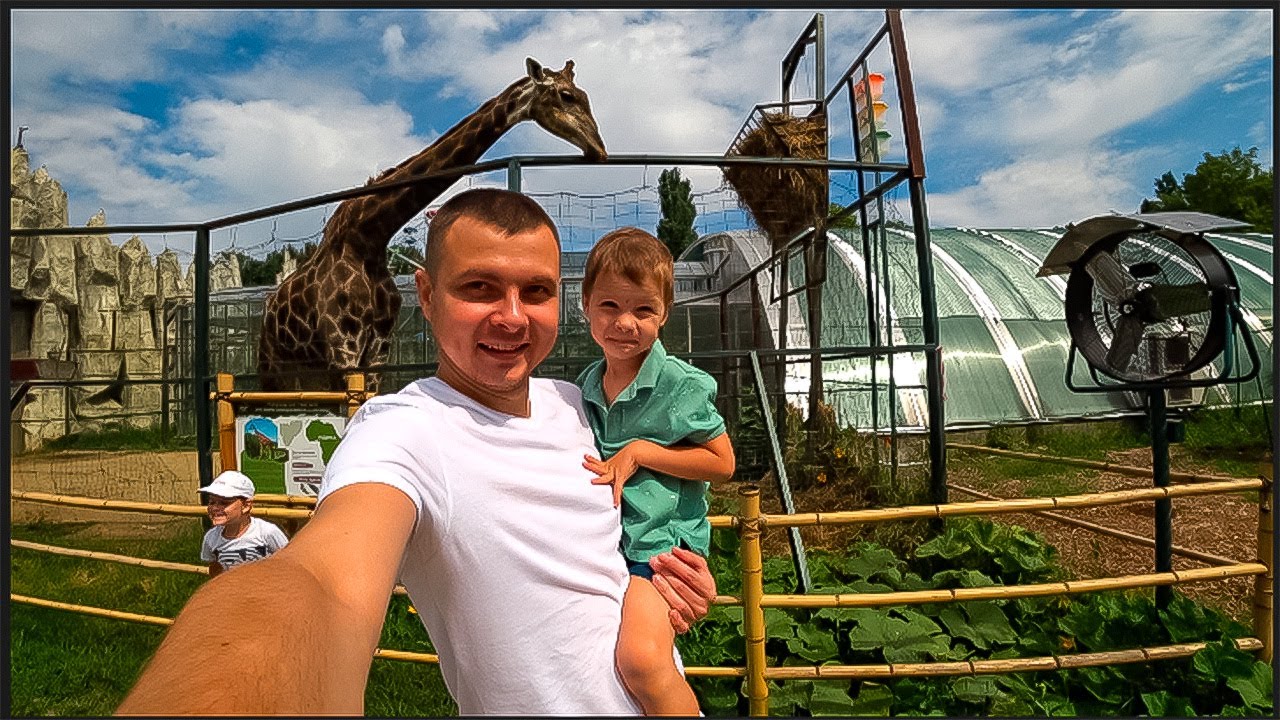 Музыкальная прогулка по зоопарку часть [2]