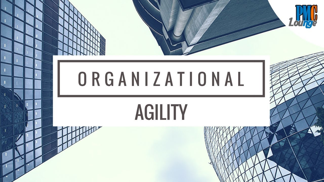 Organizational Agility | How Kodak went out of business but McDonalds stayed due to their agility