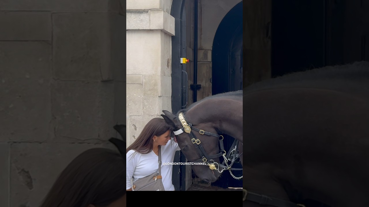 King&rsquo;s Horse Recognised A Good Soul!