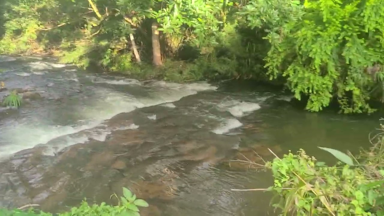 Pont Sali, Midlands, Mauritius