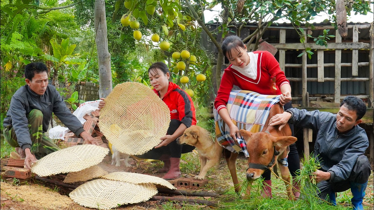 72 Hours Weaving Baskets & Harvesting Fish – Giant Python Lurking Near Our Farm! 😱🐍