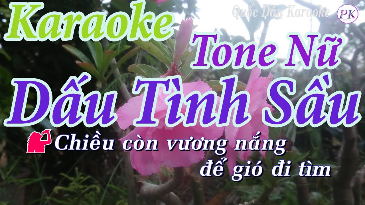 Karaoke Dấu Tình Sầu (Slow Rock) - Tone Nữ (Rê Thứ Dm) - Quốc Dân Karaoke