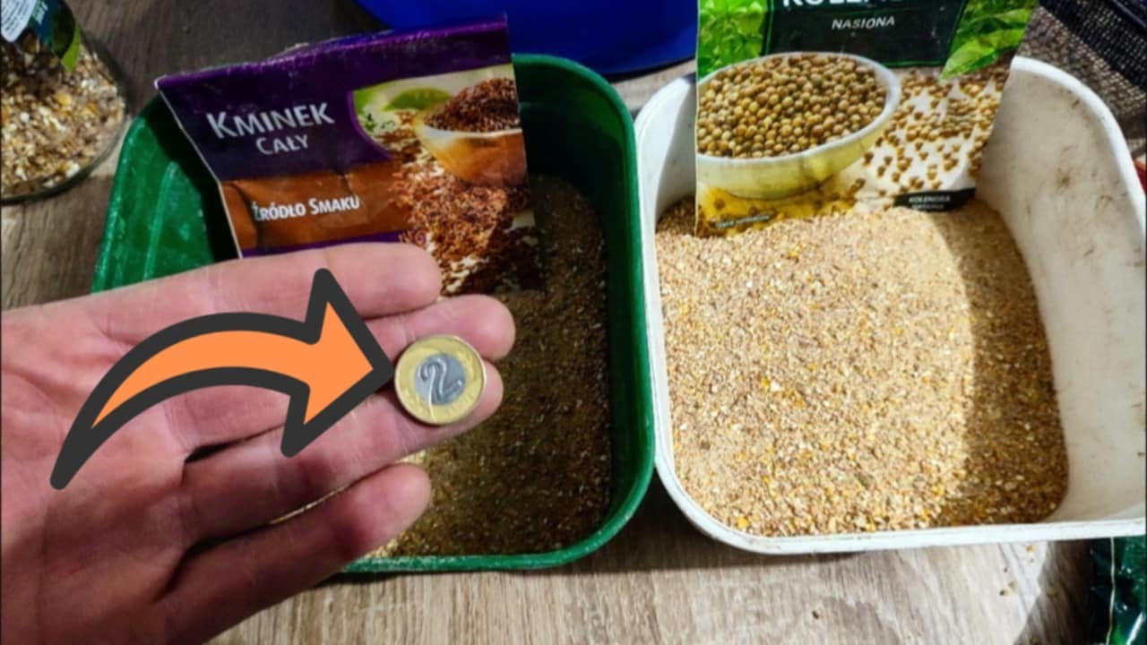 Zanęta za 2 zł ! Czyli jak łowić ryby za pół darmo...