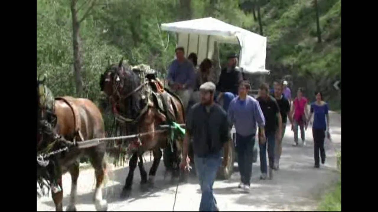 XXIV Romeria a Santa Anna-(1ªParte).avi