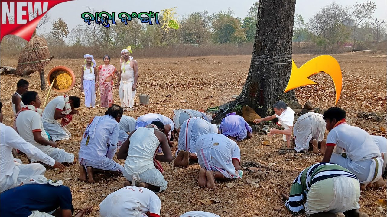 Baha Bonga 2026 Celebration | Kainpur Village | Jamda Block Full Vlog