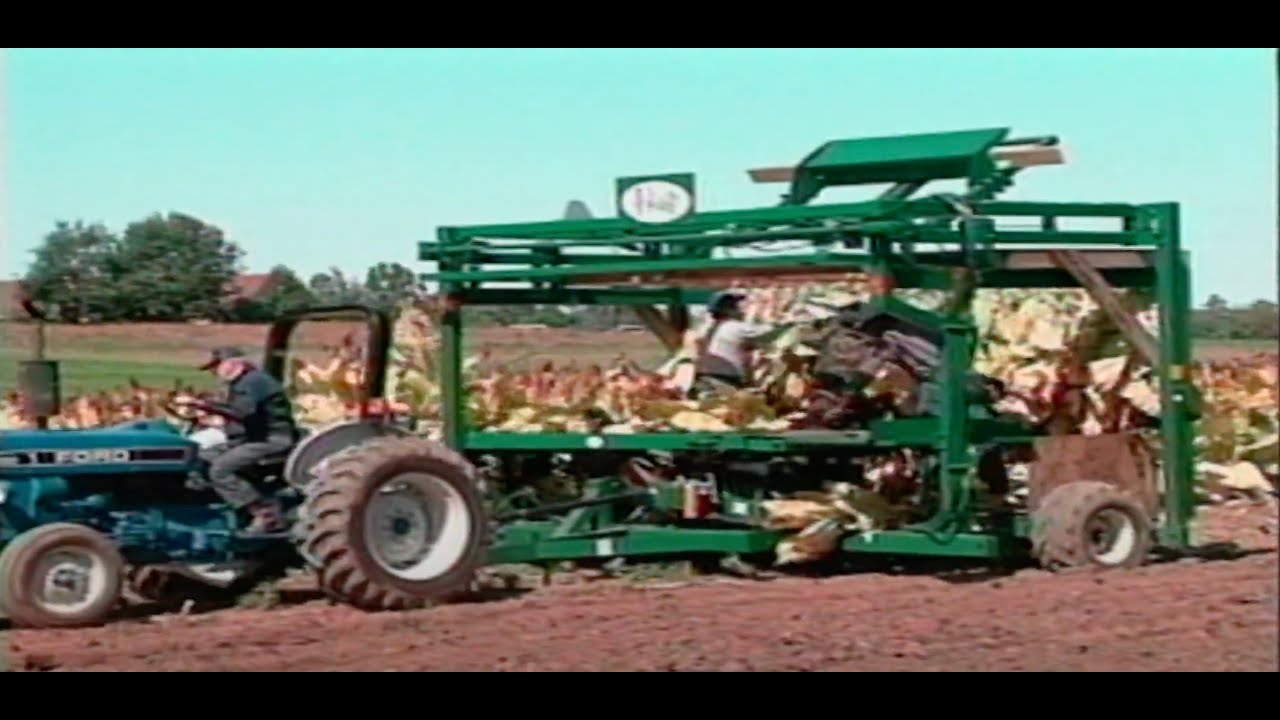 Innovative Tobacco Harvesting: Kentucky Farmers Embrace Mechanization | Classics (1992)