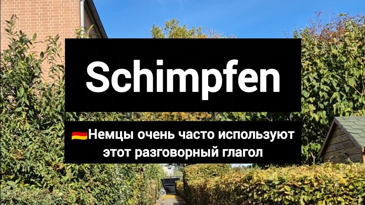 Всё про разговорный глагол schimpfen в немецком языке #deutsch #немецкийязык