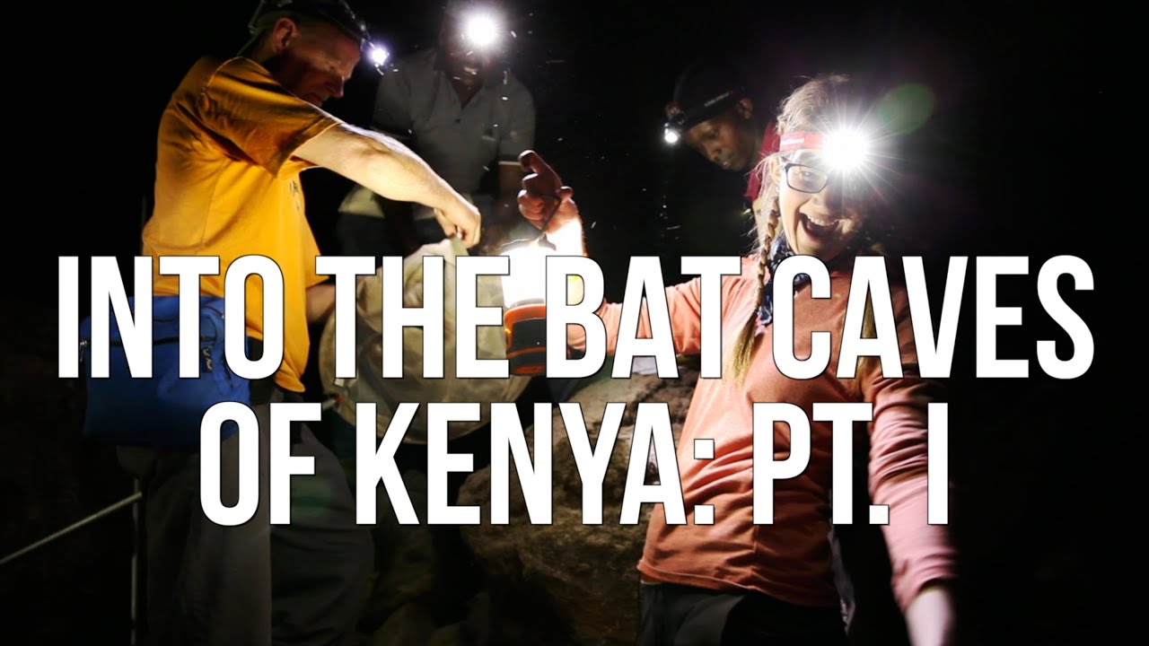 Into the Bat Caves of Kenya: Pt. I