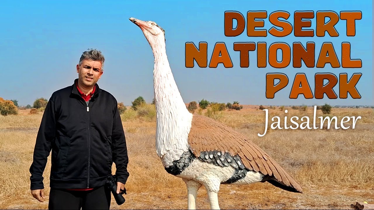 Desert National Park | Complete Details | Jaisalmer