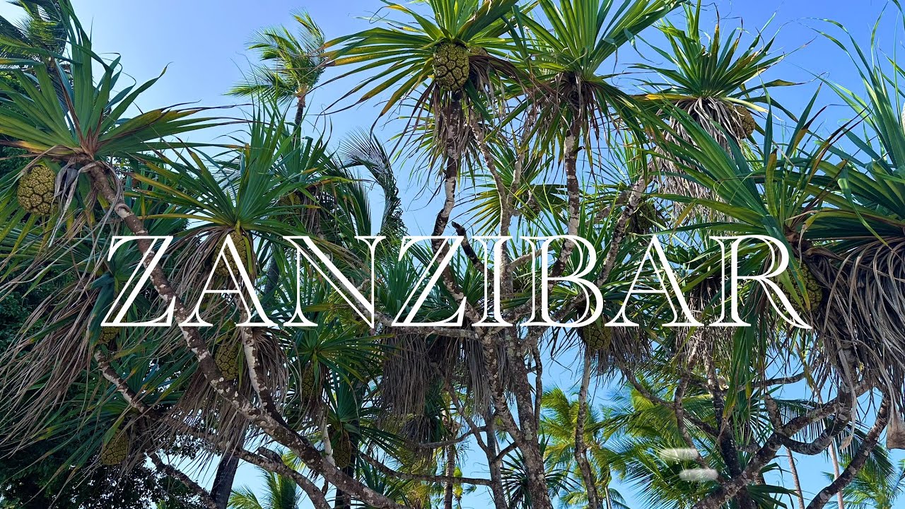 Zanzibar: Tropical Escape 2023