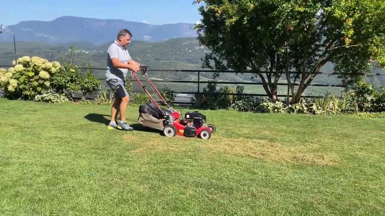 Cura del prato in autunno