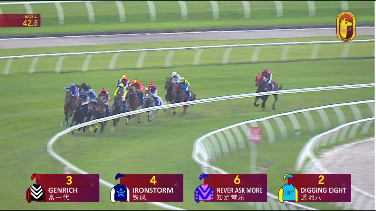 08 FEB 2026 RACE 11