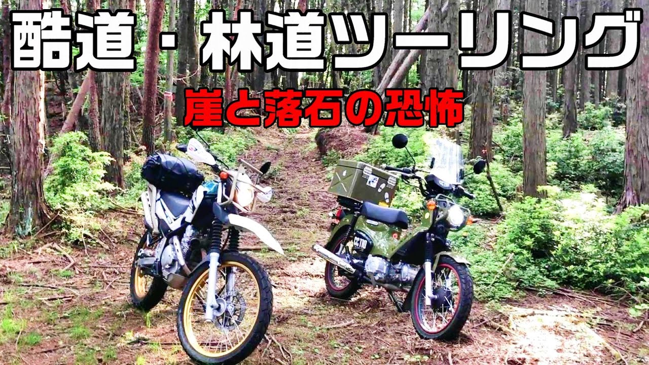 バイクで酷道と林道ツーリング！ 落ちたらヤバイ！