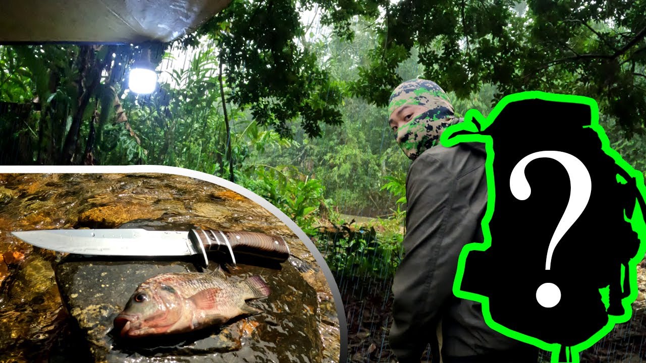 SOLO STORM Camping │ CATCH & COOK │ Equipments Upgrade │ Bushcraft #camping #fishing #4k