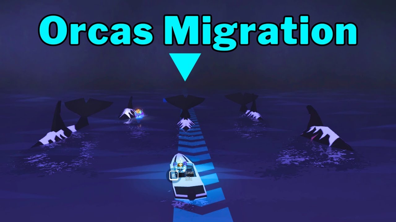 How To Find Orca Migration Location in Fisch | Orca Migration Has Begun | Roblox