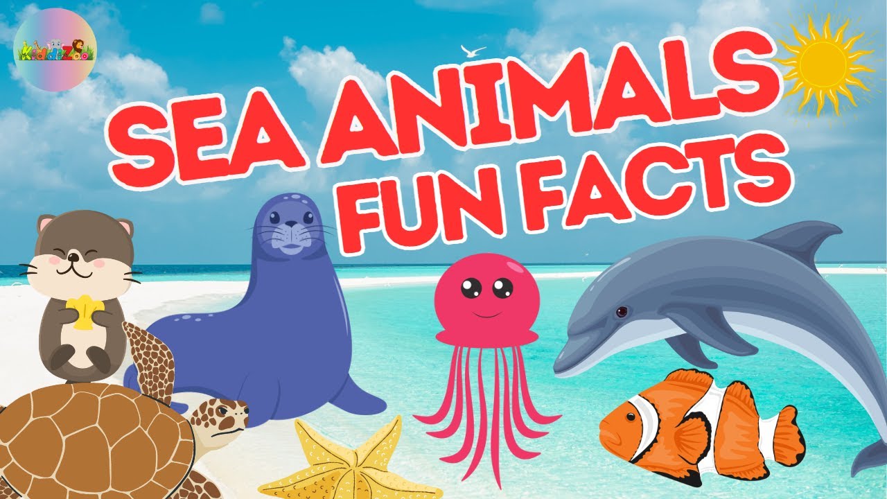 Amazing Fun Facts about Sea Animals  #seaanimals #kiddizoo