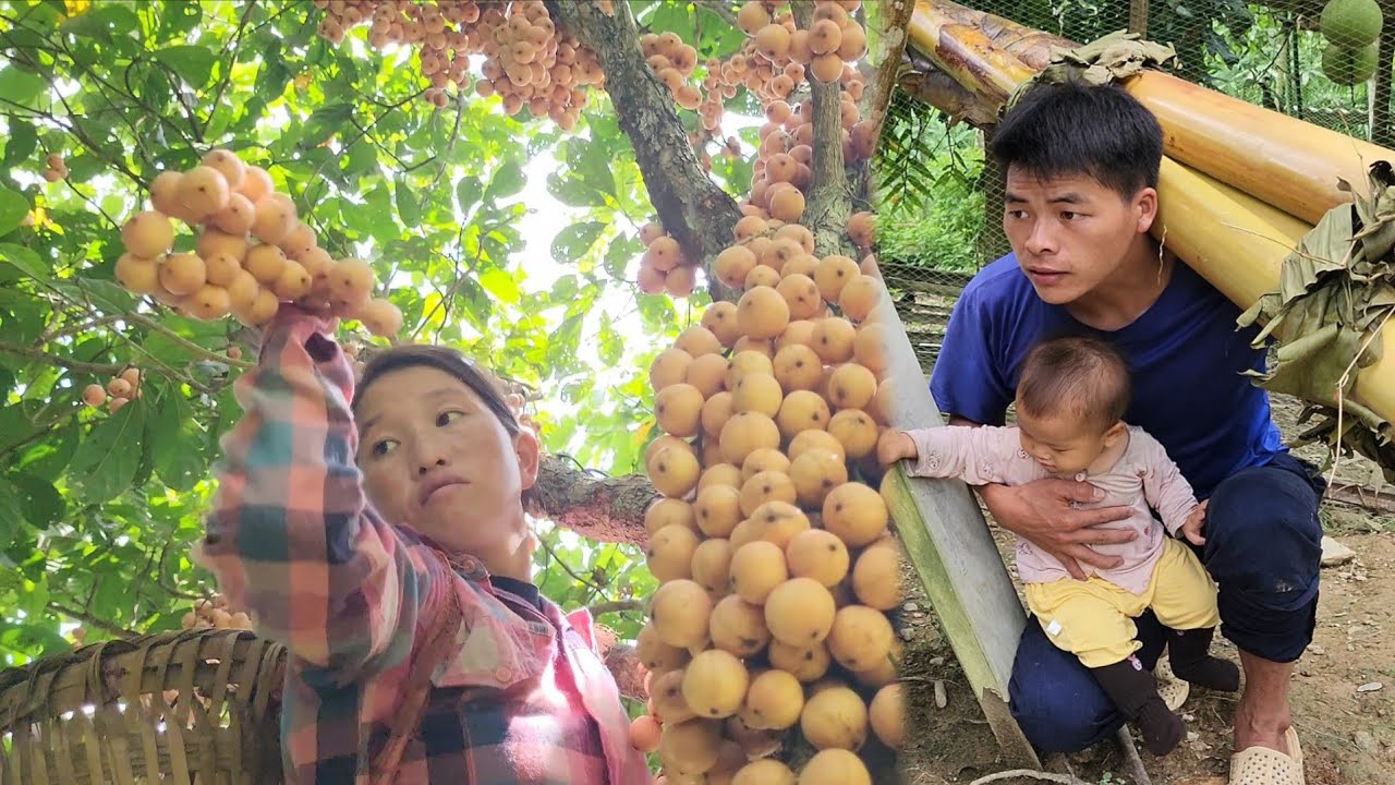 2-9 The couple had their first meals in life, very strange and delicious and nutritious