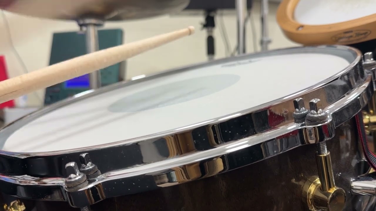 USED CANOPUS Zelkova Snare Drum HS-1450 14x5(01ZEAS88UGW3MHLP1MS6ZB4BWC)