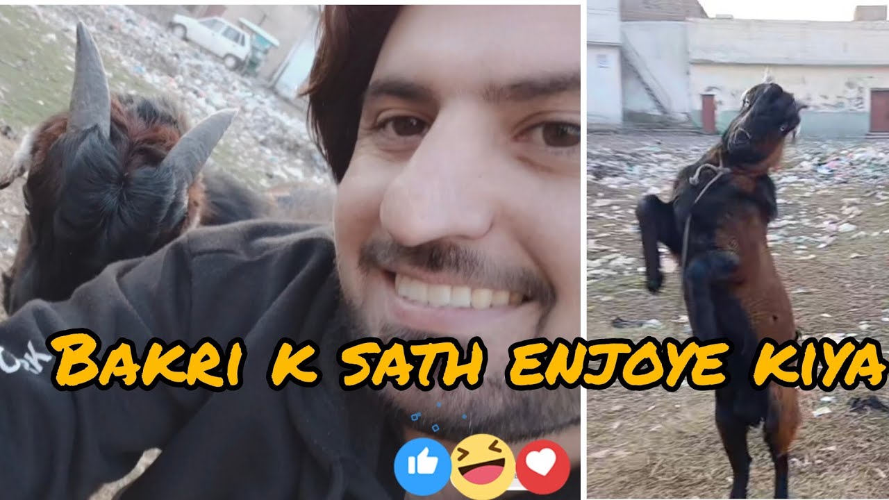  New Home Tower | Baqri 🐐 ke Sath Full enjoy  😀 